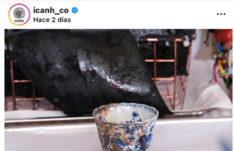 ¿Una taza rota del Galeón San José?