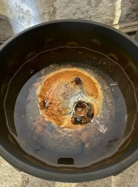 Estado de patrimonio subacuático extraído del mar por el Icanh y parte del equipo técnico que lidera los trabajos de extracción del galeón San José. Fuente: Foto tomada por Mario Omar Fernández.